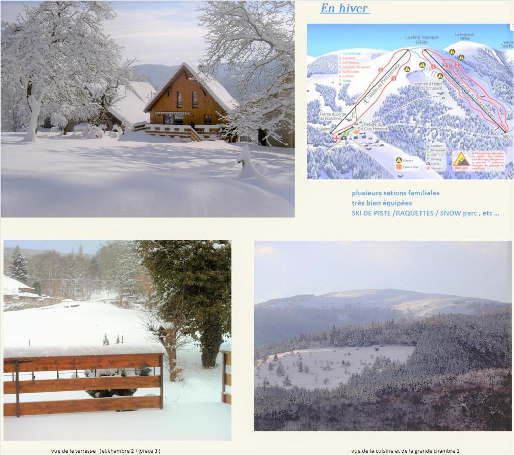Chalet La Grange De Madi Muhlbach-sur-Munster المظهر الخارجي الصورة